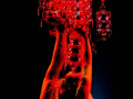 DSC2120