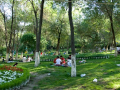 DSC1554 DSC1554